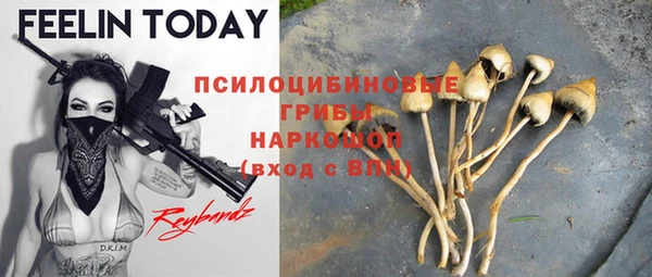 прущий лед Армянск