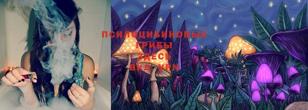 прущий лед Армянск