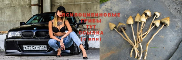 прущий лед Армянск