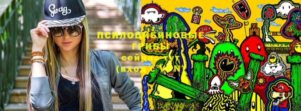 прущий лед Армянск