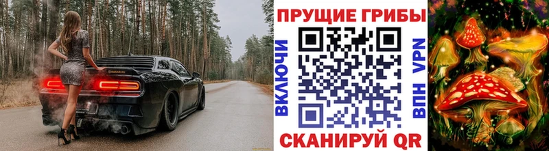 Псилоцибиновые грибы GOLDEN TEACHER  Заречный 